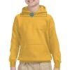 Youth Heavy Blend™ Hooded Sweatshirt Thumbnail