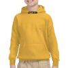 Youth Heavy Blend™ Hooded Sweatshirt Thumbnail